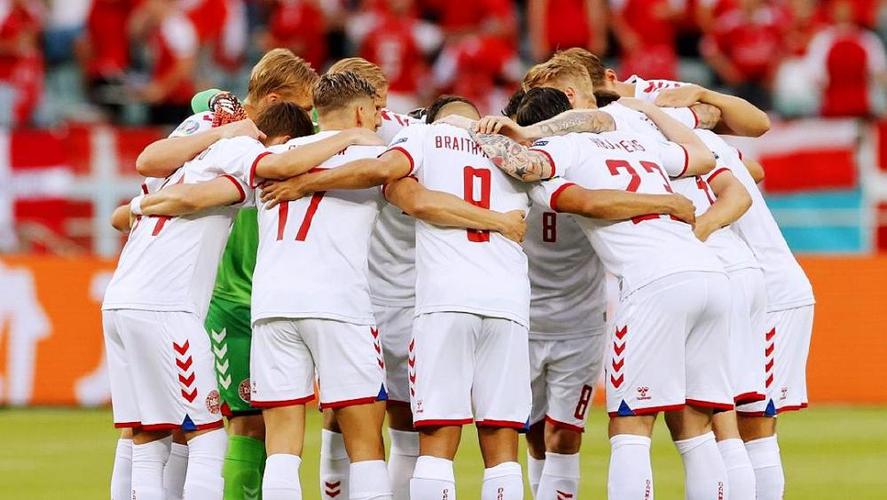 丹麦vs奥地利世预赛集锦