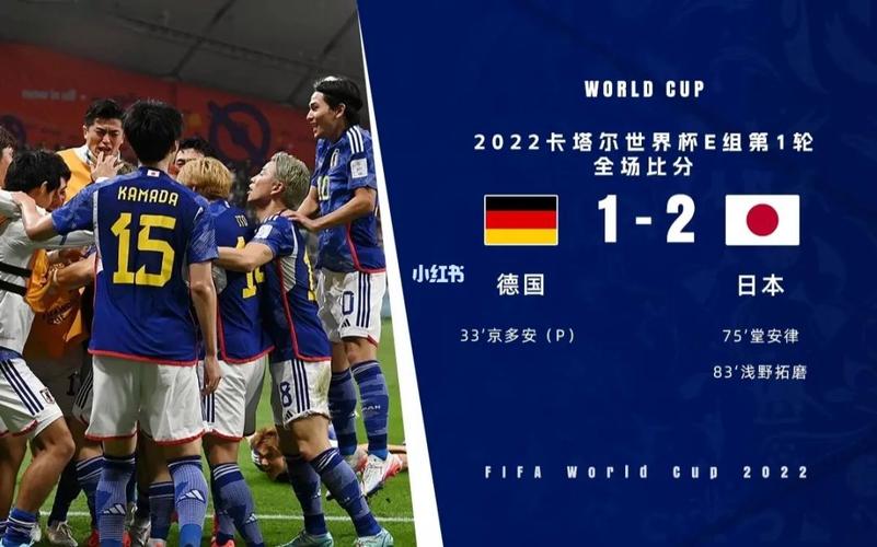 德国VS日本观看